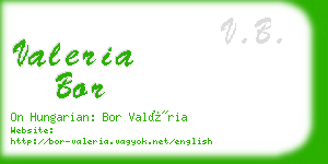 valeria bor business card